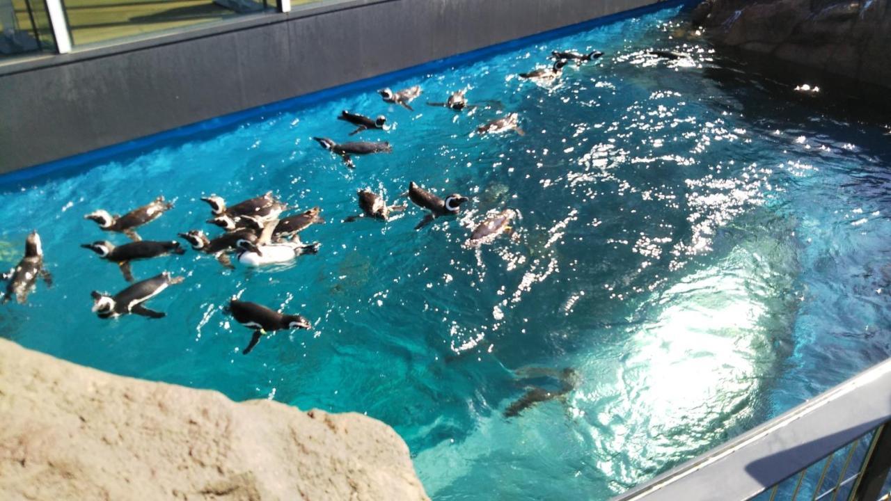 Oyo Joetsu City Hotel Kasugayama Ngoại thất bức ảnh